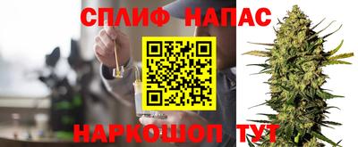 молекула духа Будённовск