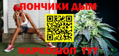молекула духа Будённовск