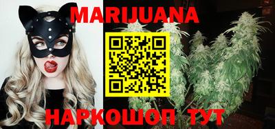 молекула духа Будённовск