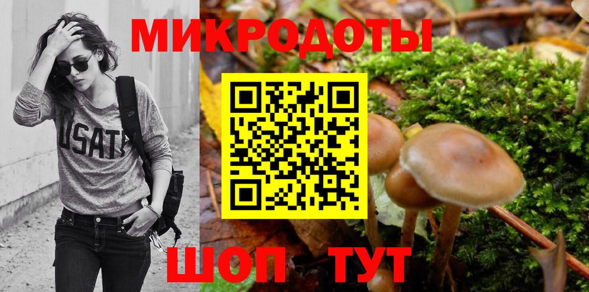 Псилоцибиновые грибы Cubensis Орёл