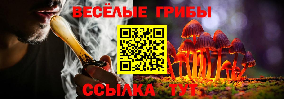 Галлюциногенные грибы Psilocybe  Вход с VPN  Орёл 